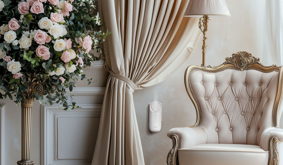 Press: A Holiday Ready Home